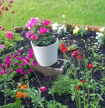 Con Jardin Y Piscina Pet Friendly Lägenhet